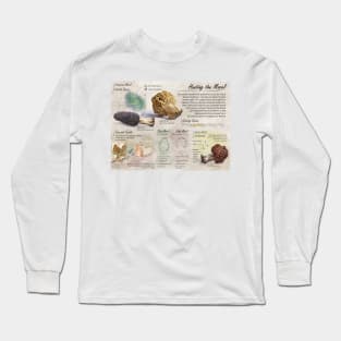 Morel Informational Poster Long Sleeve T-Shirt